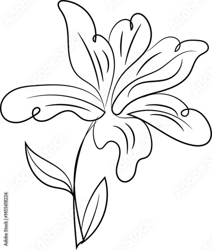 Elegant Line Art Drawing of a Single Lily Flower with Leaves