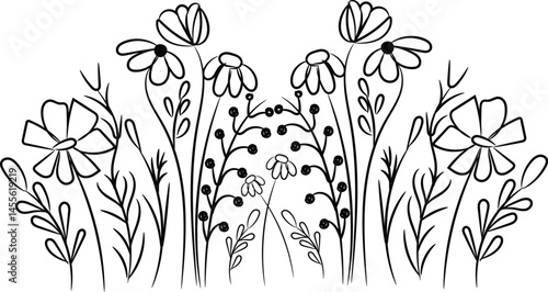 Simple Line Drawing of Wildflowers and Meadow Plants