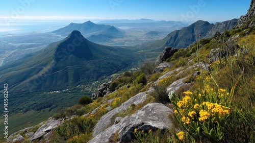 Cape Town's Majestic Landscape View from Table Mountain National Park in South Africa Scenery