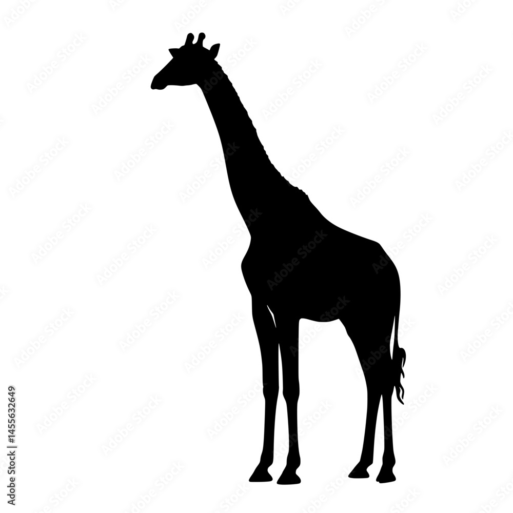giraffe vector illustration giraffe vector illustration