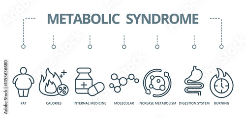 Metabolic Syndrome concept banner with icon of fat, calories, internal medicine, molecular, increase metabolism, digestion system, and burning







