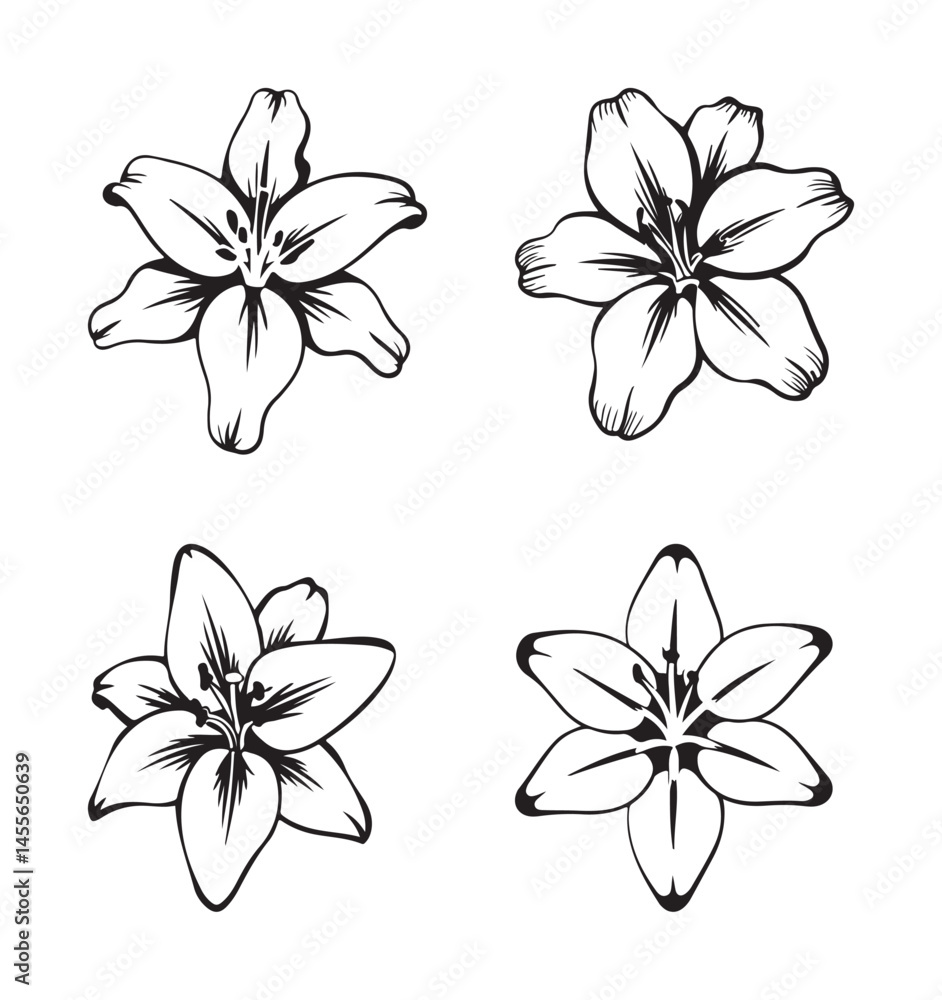 Obraz premium Set of black silhouettes of iris, narcissus, and lily flowers isolated on a white background