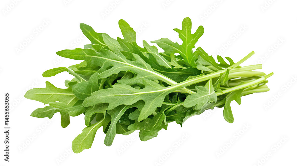 Arugula/Rocket Isolated in White background, Full size Vegetable Arugula/Rocket Isolated in White background, Full size Vegetable