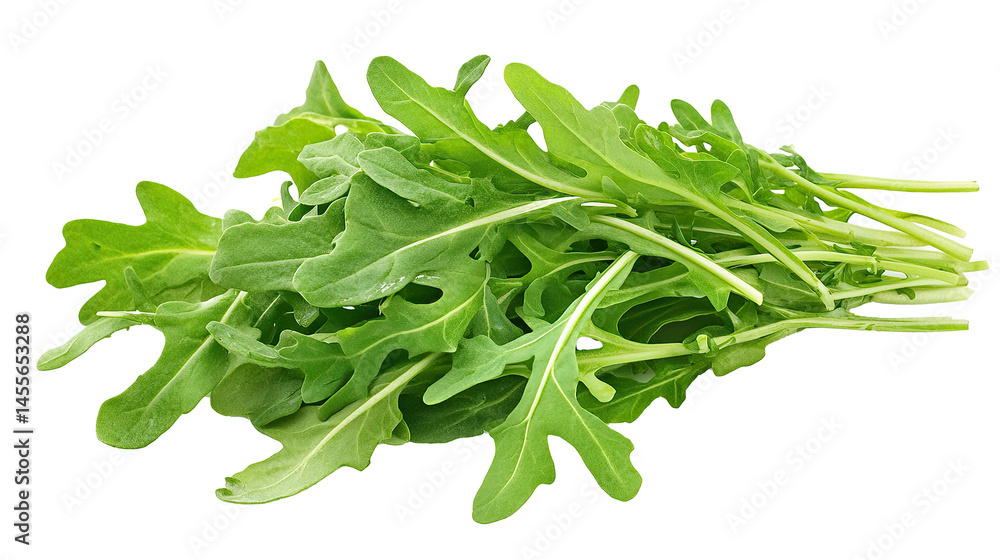 Arugula/Rocket Isolated in White background, Full size Vegetable Arugula/Rocket Isolated in White background, Full size Vegetable