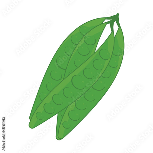 vector illustration of Asian tropical fruits