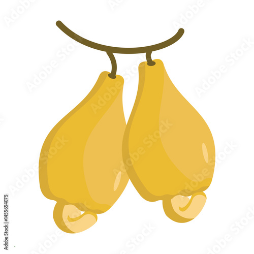  vector illustration of Asian tropical fruits