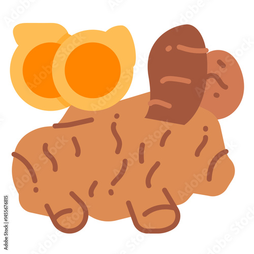 Turmeric Flat vector