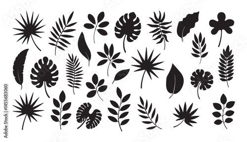 Set of tropical palm leaves silhouettes isolated on white background for nature and botanical vector designs  
