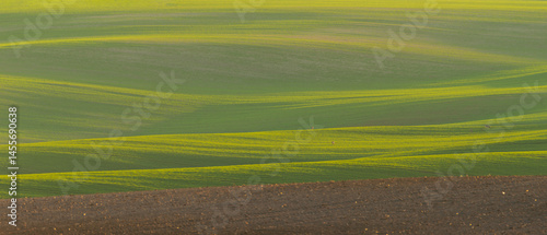 Obraz na płótnie Beautiful spring fields in the Oder river valley in Brandenburg, Germany w salonie