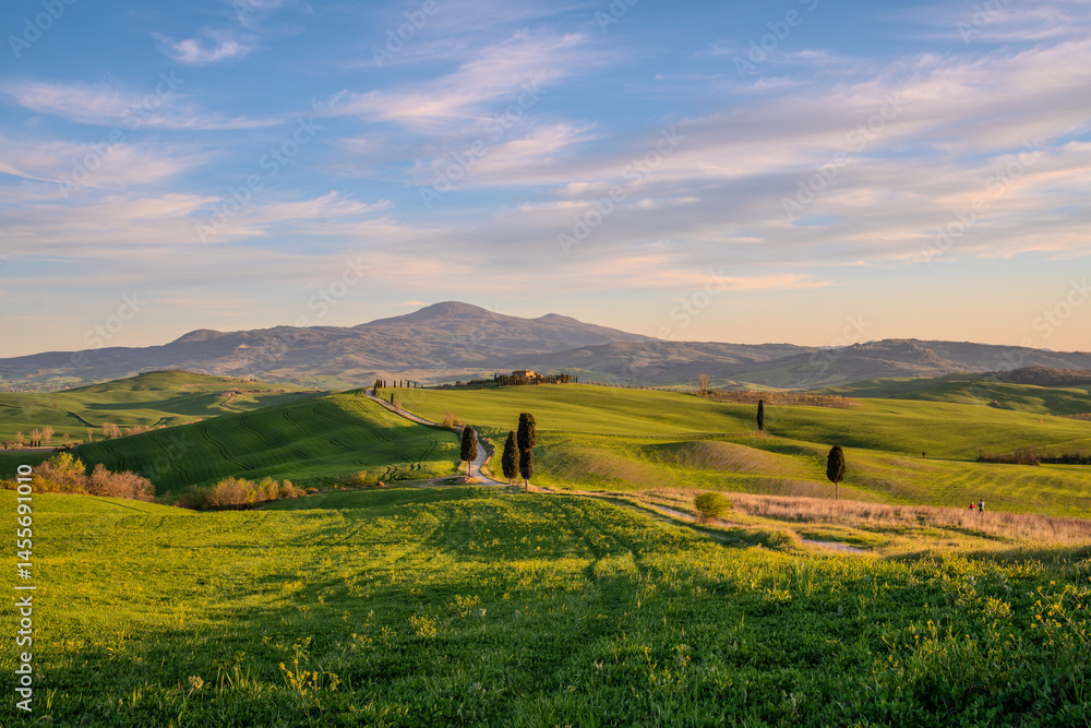 Italy,Tuscany-Val d'Orcia: rolling hills among vineyards and medieval villages