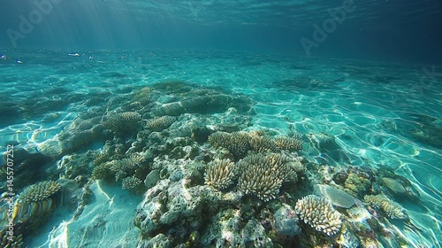 Underwater spectacle: Sunlight dances on the vibrant coral reef ecosystem