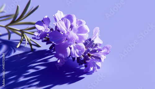 Solid lavender with soft shadow play in the corners.  Generative AI.