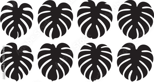 This title highlights the iconic Monstera leaves depicted in the image, emphasizing their tropical and stylish design in a repetitive pattern.