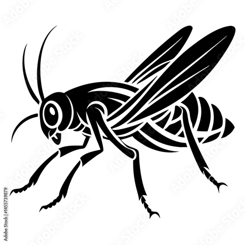 Black Fly Silhouette Vector Illustration - Insect, Bug Art, Nature Illustration