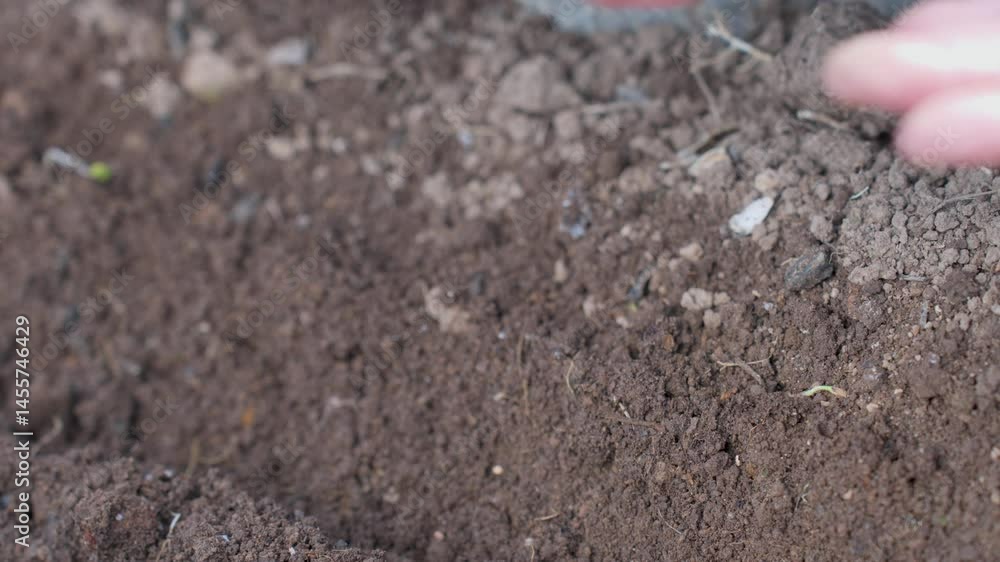 Hand Planting a Seed in Fertile Soil Hand Planting a Seed in Fertile Soil