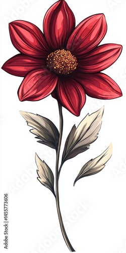 Dark Red Flower with Beige Leaves Botanical Illustration