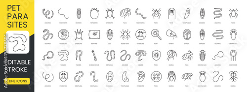 Minimalistic editable stroke vector line icons of pet parasites for veterinary apps animal health infographics and hygiene related designs