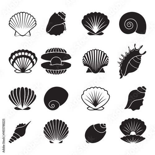 vector set of shells