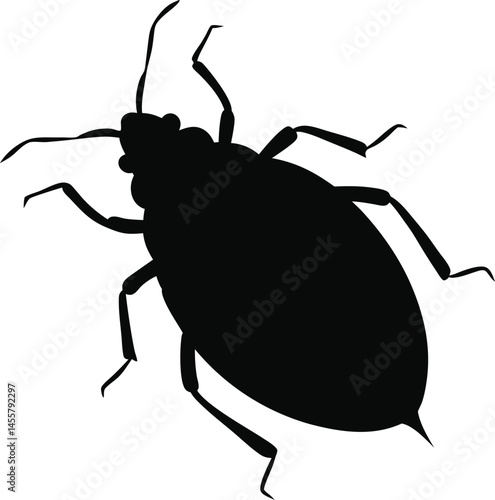 Vector silhouette of bedbug on a clean white background
