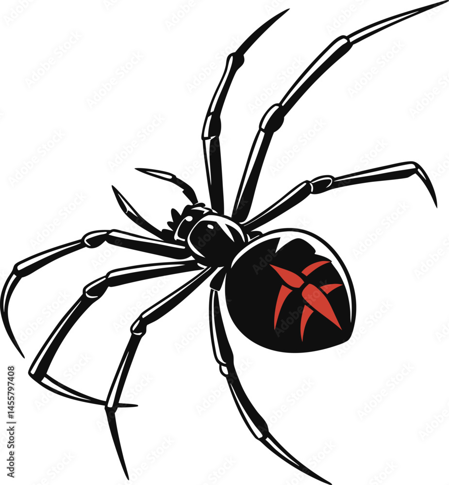 Vector silhouette of black-widow spider on a plain white background Vector silhouette of black-widow spider on a plain white background