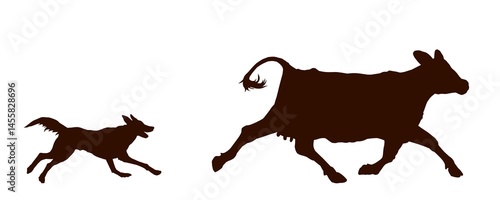 The dog chasing cow.
