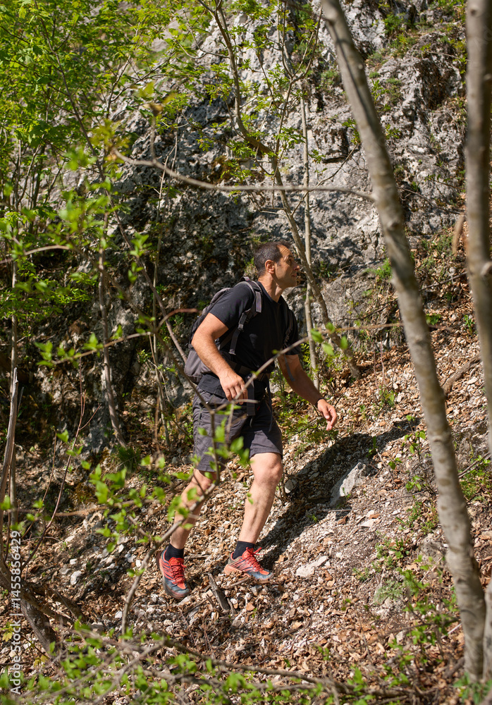 Naklejka premium Man hiking up forest slope