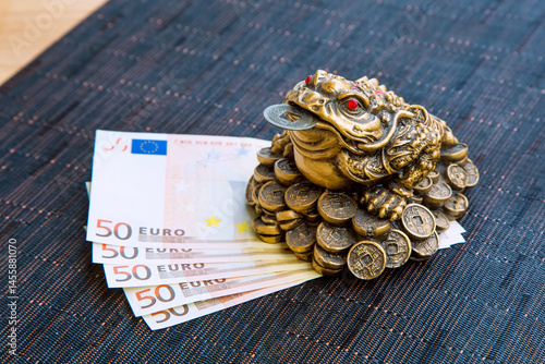 Money frog and euro banknotes