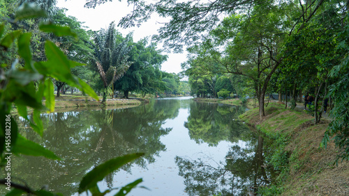 фотографія A peaceful park scene with a winding waterway and dense greenery on both sides