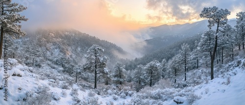 Wallpaper Mural Snowy forest vista displays trees covered in fresh snow against misty, mountainous backdrop under bright, cloudy sky. Torontodigital.ca