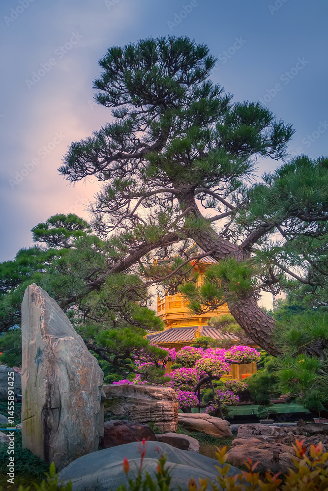 Bonsai tree in Nan Lian Garden, Hong Kong