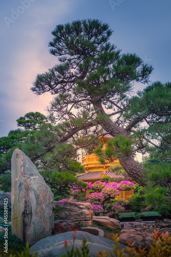 Obraz na płótnie Bonsai tree in Nan Lian Garden, Hong Kong w salonie