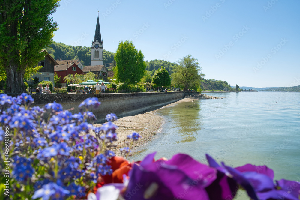 Bodensee, am Untersee bei Berlingen (Schweiz)
