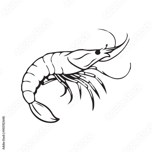 Vector illustration of shrimp. Shrimp silhouette. Isolated shrimp on white background