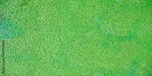 Green recycled paper background and texture.