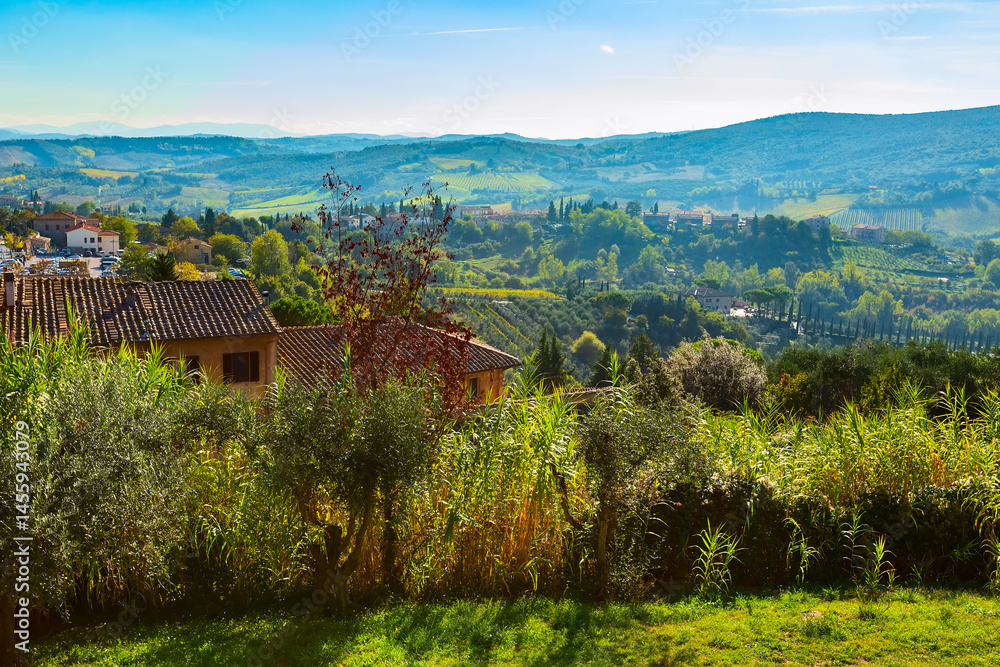 Obraz premium Tuscan autumn panoramic landscape with vineyards, cypress trees, houses in Tuscany, Italy, Europe