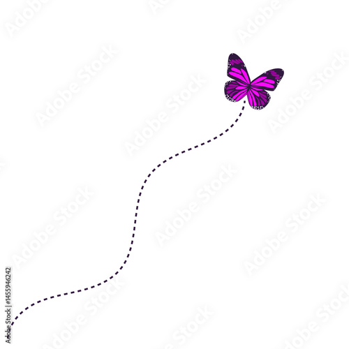 Flying Butterfly Route