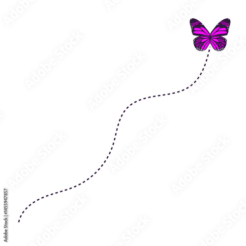 Flying Butterfly Route