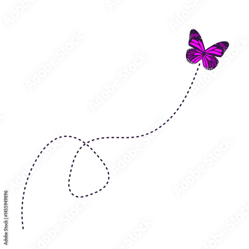 Flying Butterfly Route