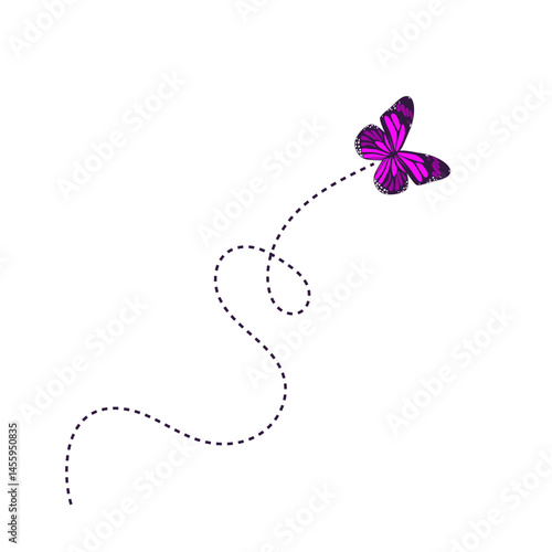 Flying Butterfly Route