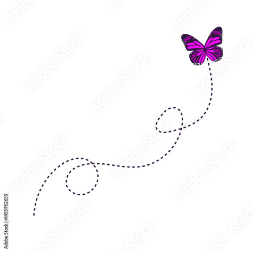 Flying Butterfly Route