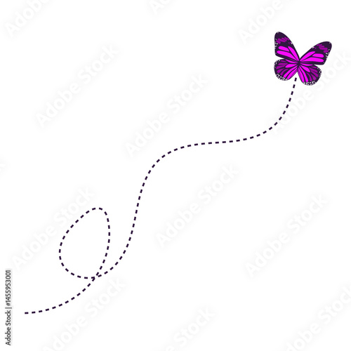 Flying Butterfly Route