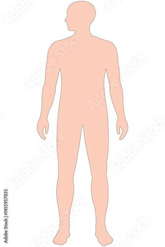 Male full body silhouette, front view, isolated on white background