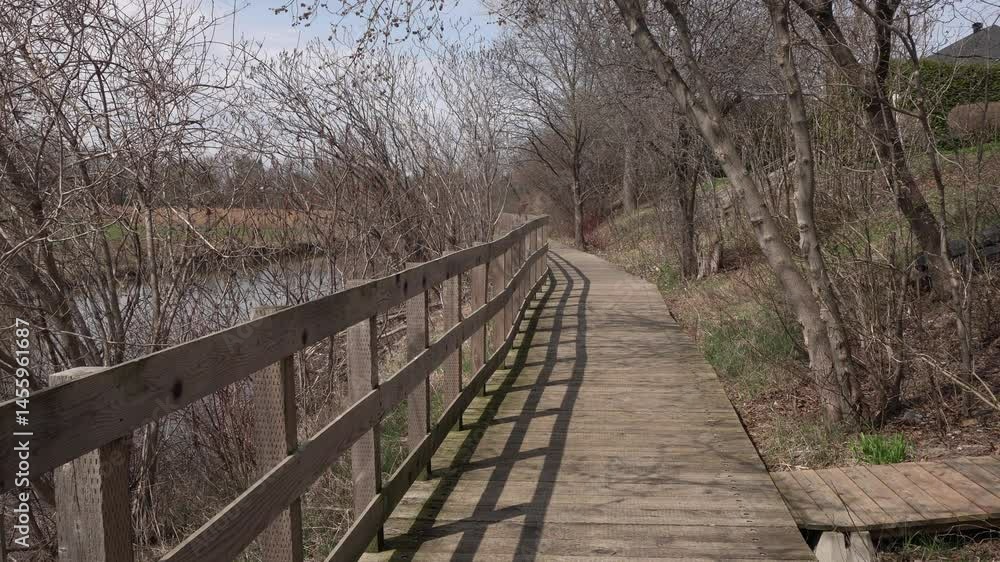 A wooden walkway running alongside a stream with numerous leafless trees, all under a beautiful sunny day.