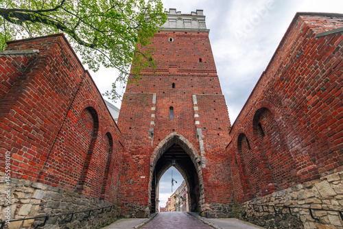 Obraz na płótnie Brama Opatowska - Medieval entrance gate to Sandomierz old town w salonie