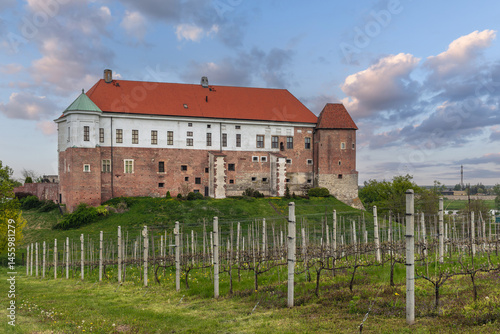 Obraz na płótnie Panoramic view of Sandomierz Royal Castle (Polish: Zamek Królewski w Sandomierzu) and vineyard. w salonie