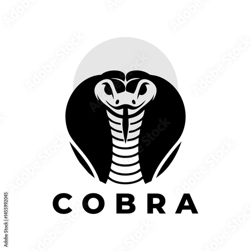 Cobra Silhouette Venomous Deadly Snake Vector Illustration Predator Exotic Wild Animal Dangerous Reptile Jungle Wildlife Shadow Art Mysterious Symbolism Dark Tropical Fear Cold