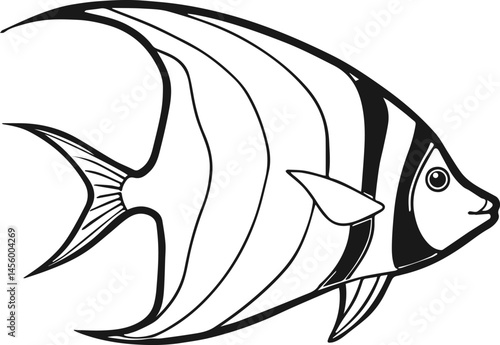 angelfish outline vector illustration line art coloring book page