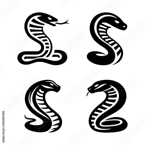 Wild Cobra Silhouette Illustration Featuring Venomous Snake Predator Jungle Reptile Animal Dangerous Wild Exotic Wildlife Movement Aggressive Coldblooded Serpent Shadow Deadly Art Vector