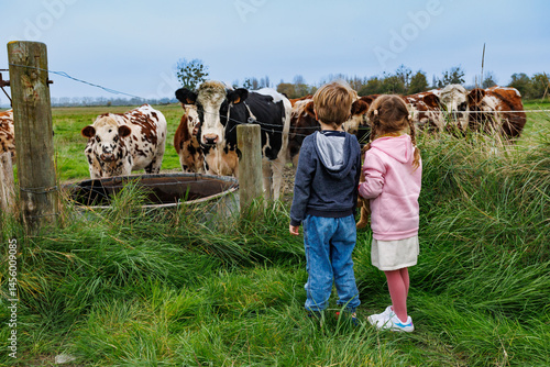Boy and girl meet cows on a farm, observing them with curiosity