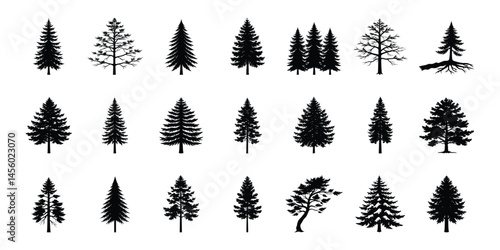 set of pine trees vector illustration on white background